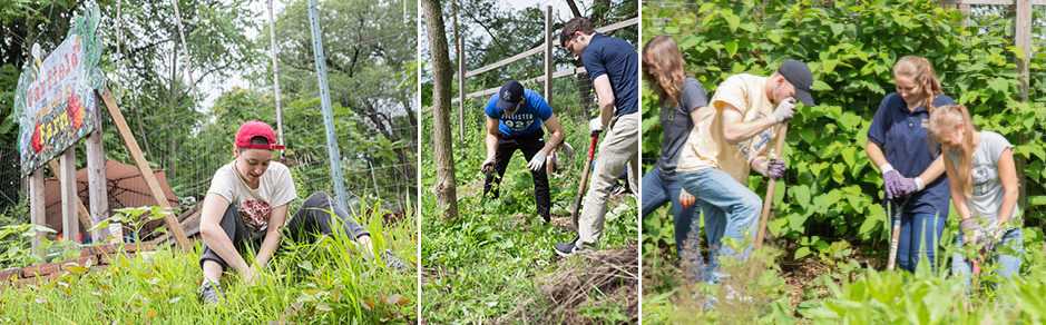 trio of photos showing students at work digging and weeding in a city neighborhood community farm garden
