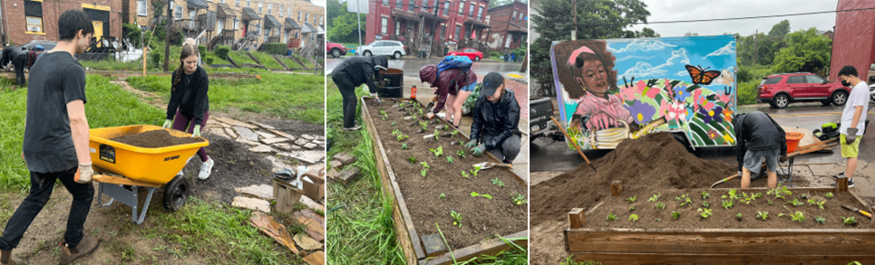 trio of photos showing planting work being done in city neighborhood setting