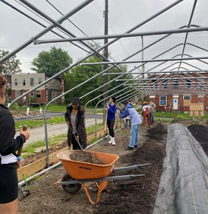 students preparing planting beds under greenhouse framework