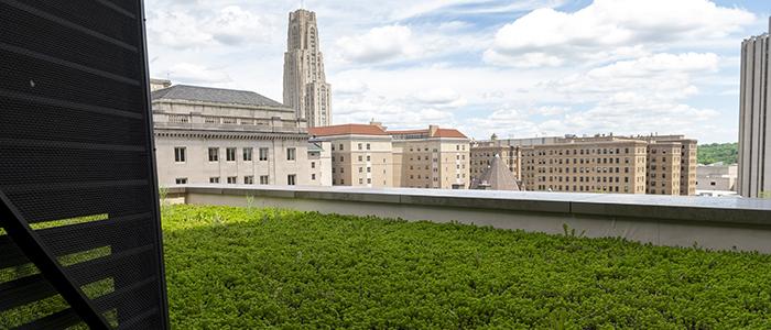 green roof on one of Pitt's campus buildings