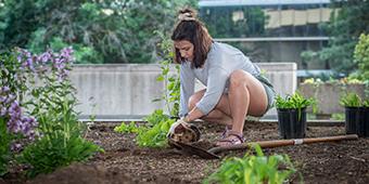 student planting flowers during Bees in the Burgh event