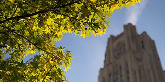 View of top of Cathedral of Learning against blue sky with leafy tree in foreground
