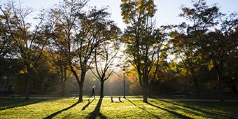 Early morning sun coming from behind fall trees on Pitt campus