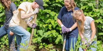 students digging garden space while participating in service work at community firm