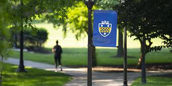 Pitt banner on walkway surrounded by green leaves