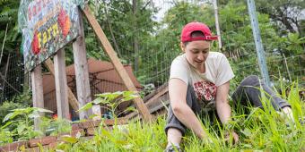 student working in Garfield Community Farm plot