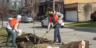 students planting trees in city neighborhood as part of service outing